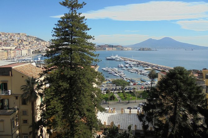 Naples Shore Excursion:Small Group Naples City Sightseeing Tour