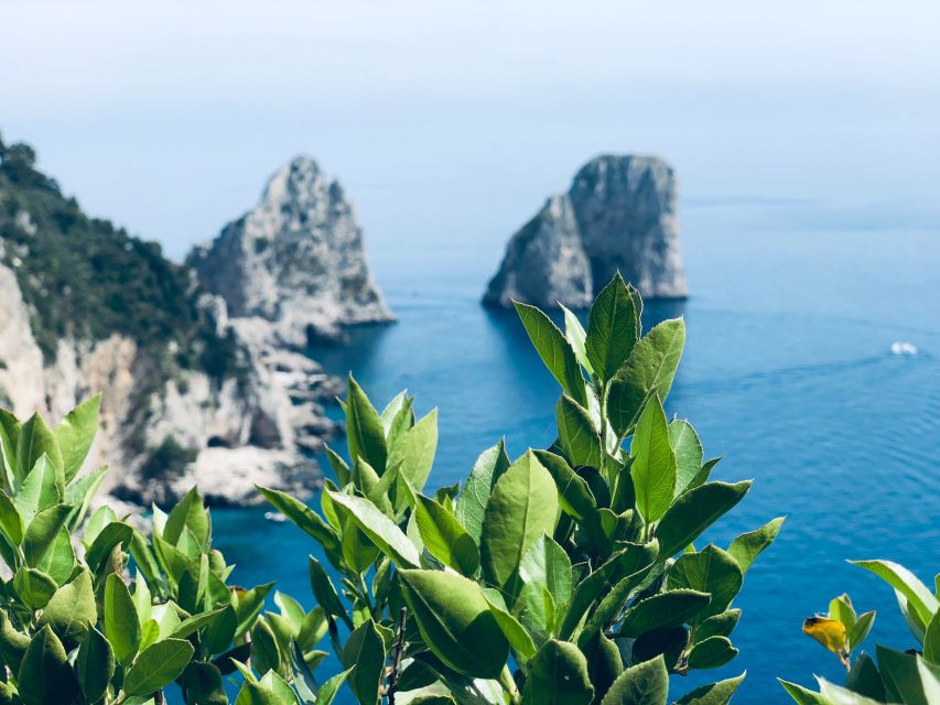 Naples: Small Group Capri and Anacapri With Ferry Tickets - Tour Overview