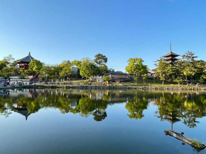 Nara: 1 Day Local Guide– Big Buddha, Deer, Shrine, Old Town