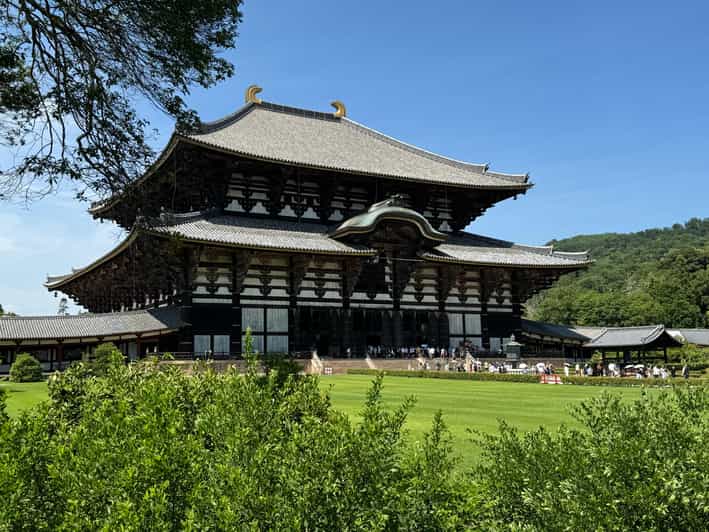 3 Best 3 Hour Tours and Experiences in Nara