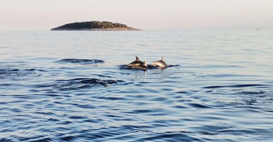 4 Best National Parks Tours In Sibenik