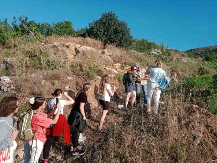 Native Vegetables Farm Tour & Organic Meal - Tour Overview and Pricing