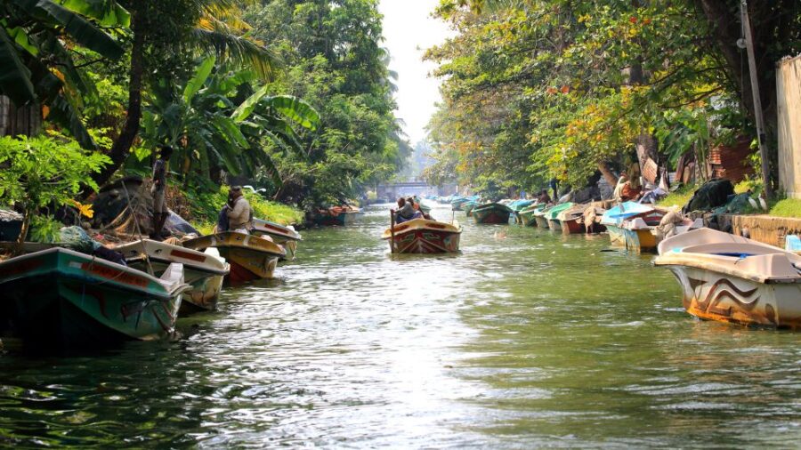 Negombo: Dutch Canal, Negombo Lagoon, Muthrajawela Boat Tour