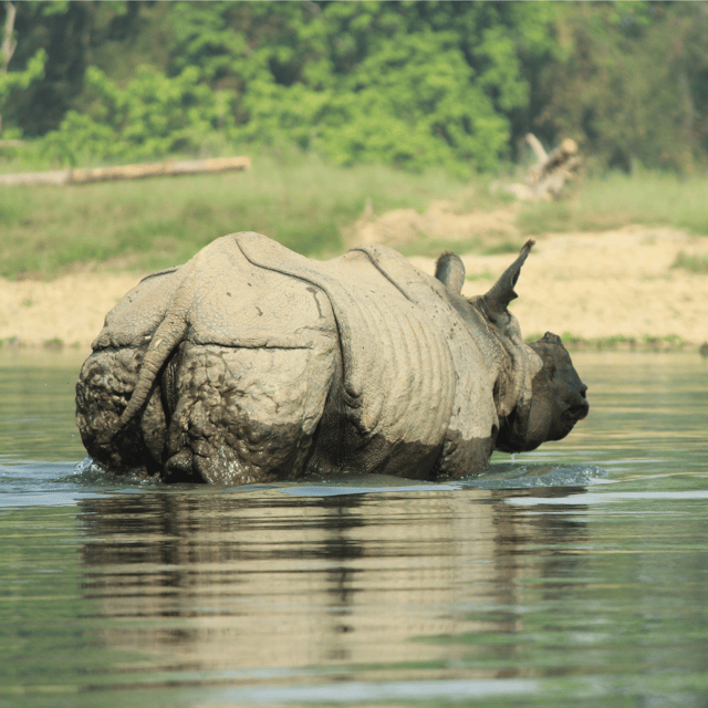 Nepal: 9-Day Private Tour With Accommodation & Meals