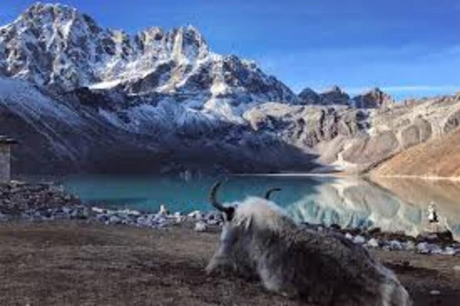 4 Best Hiking And Trekking Tours In Khumjung Village