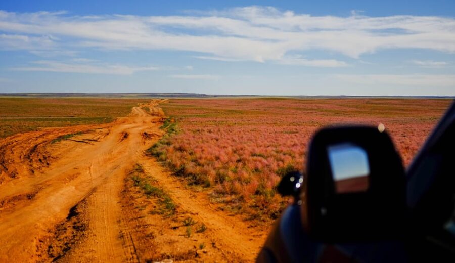New Cultural Experience With Nomad Family at Semi Gobi