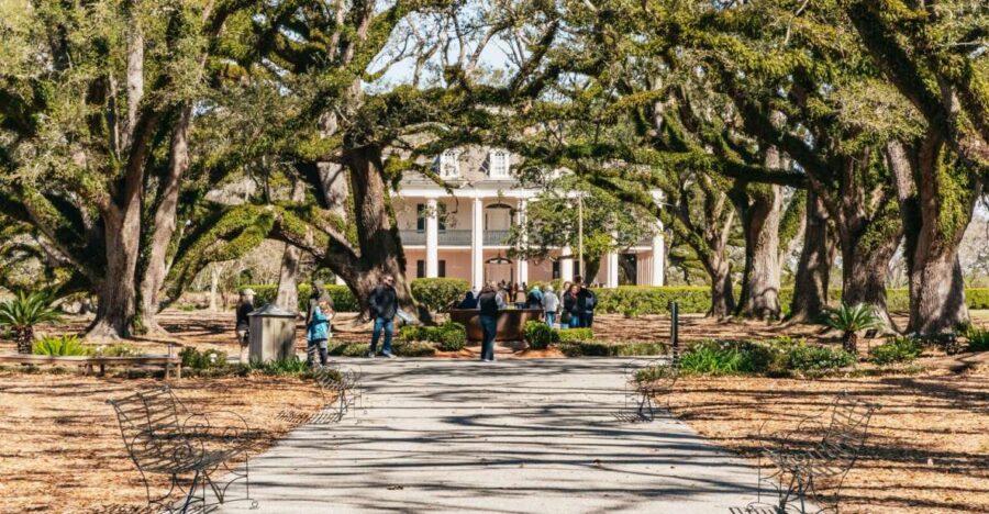 New Orleans: Oak Alley Plantation & Airboat Swamp Combo Tour