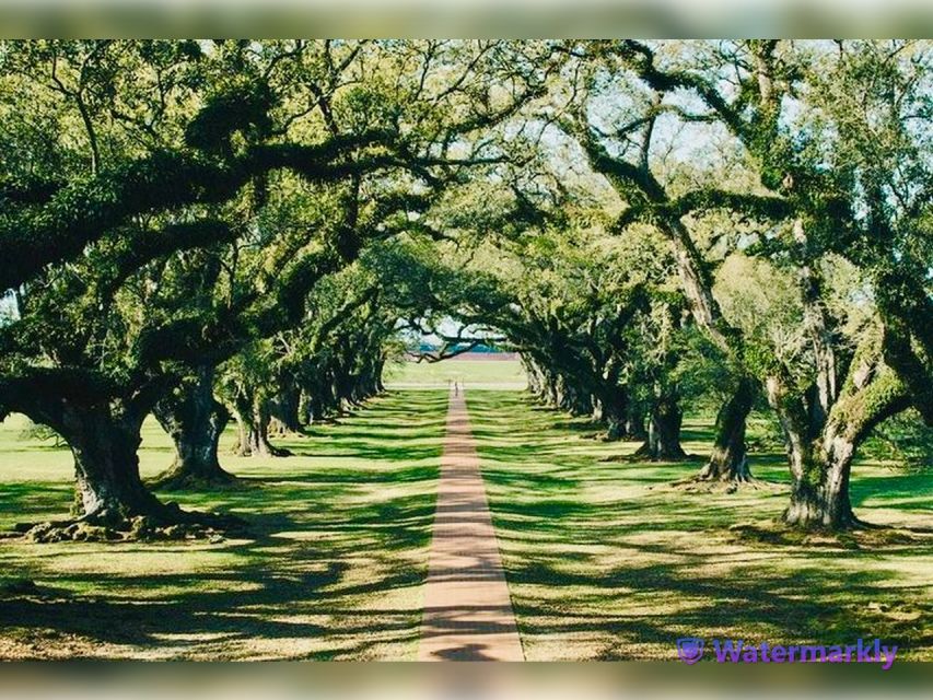 New Orleans: Oak Alley Plantation and Katrina City Tour
