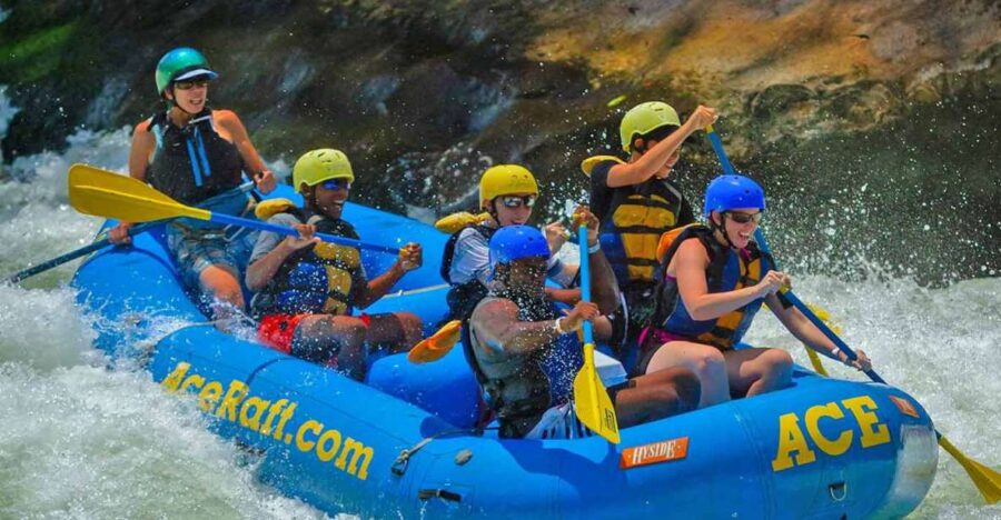 New River Gorge Whitewater Rafting - Lower New Half Day - Activity Overview
