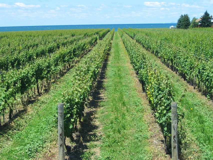 Niagara-on-the-Lake/Niagara Falls: Private Custom Day Trip