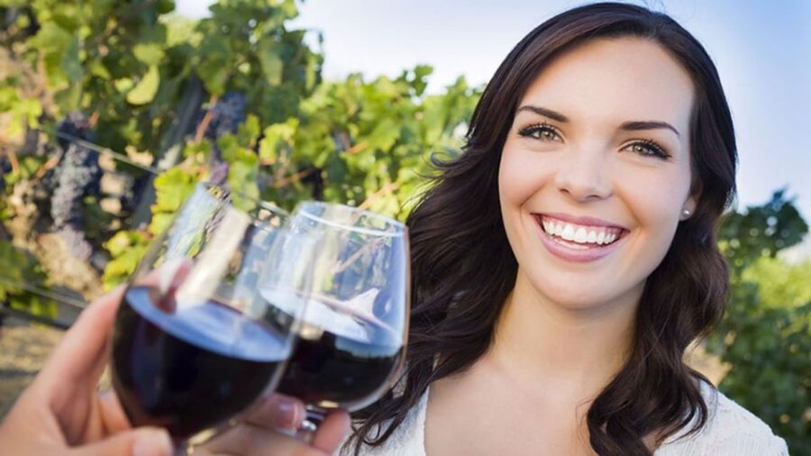 Niagara-On-The-Lake: Sunset Wine Tour With Dinner