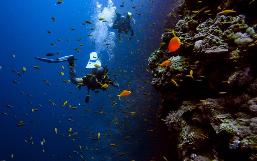 4 Best Scuba Diving Experiences In Negombo