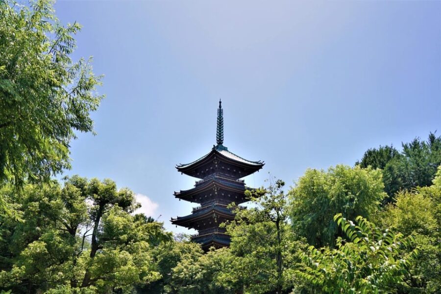 Nikko Sightseeing Day Trip With English Speaking Guide