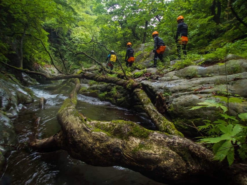 Nikko: Standard Half-Day Canyoning Course