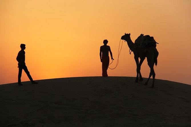 Non Touristic Half Day Camel Safari Thar Desert Sunset