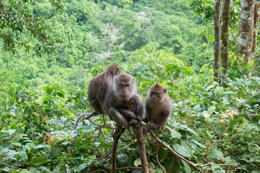 North Lombok Exploration - Tour Overview and Pricing