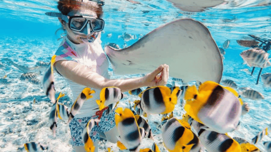 Nusa Penida Highlight: Snorkeling With East & West Land Tour