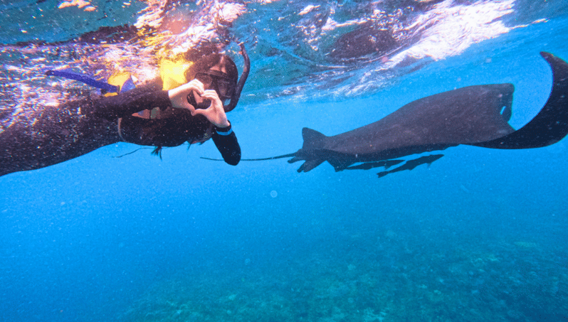 Nusa Penida & Nusa Lembongan Snorkeling + Island Day Tour