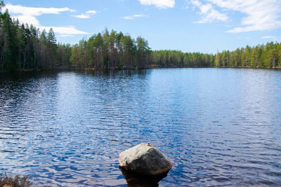 Nuuksio National Park Hiking Experience From Helsinki - Overview and Pricing