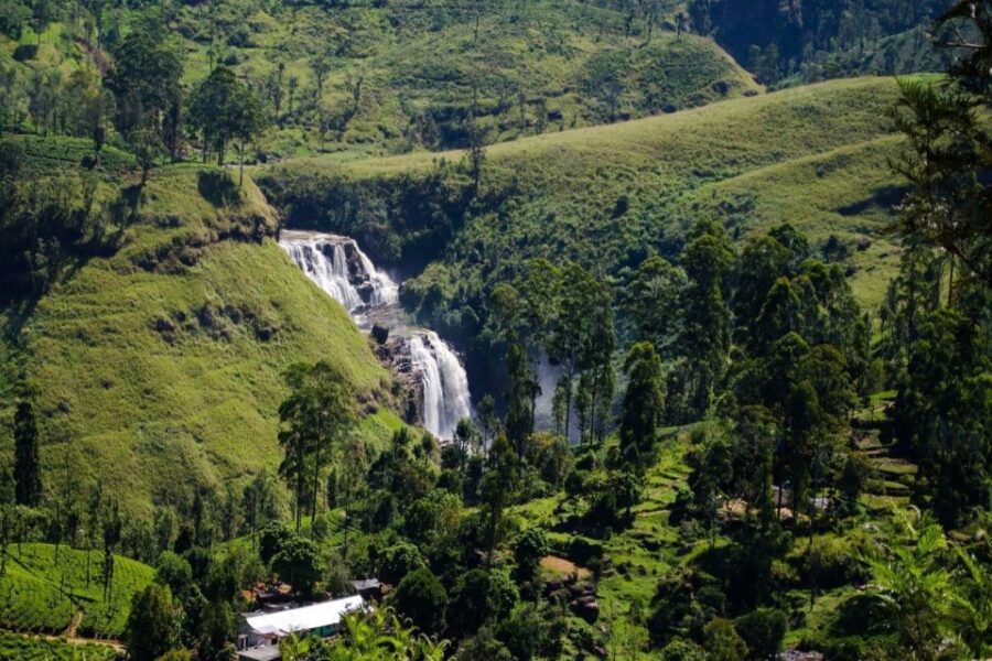 Nuwara Eliya: All-Inclusive Private Sightseeing Day Tour - Tour Overview