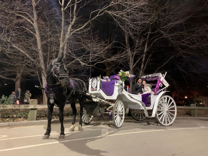 NYC Horse Carriage Ride in Central Park (65 Min) - Overview of the Experience