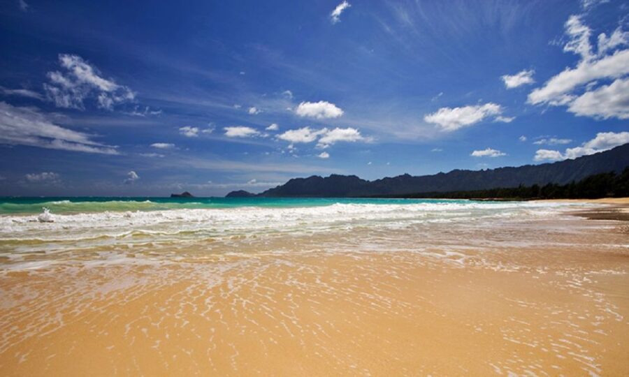 Oahu: 16-Point Guided Circle Tour With Snorkeling and Dole - Tour Overview and Pricing