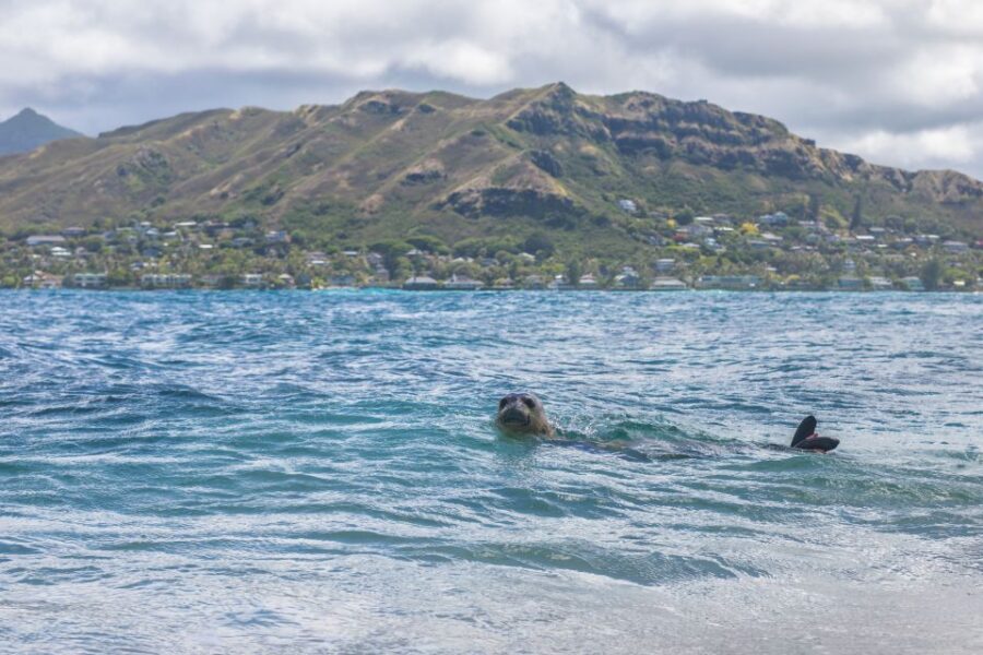Oahu: Authentic Hawaiian Sailing Adventure to Mokuluas