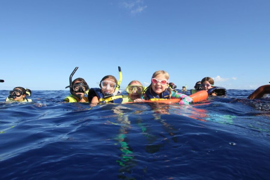 2 Best Tours In Waianae