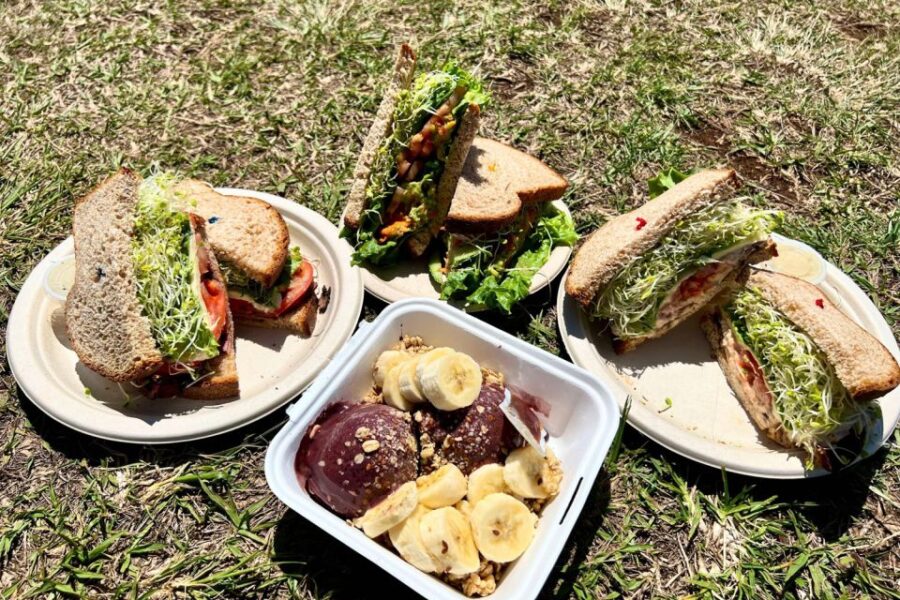 Oahu: Manoa Falls Waterfall Hike With Lunch and Transfers