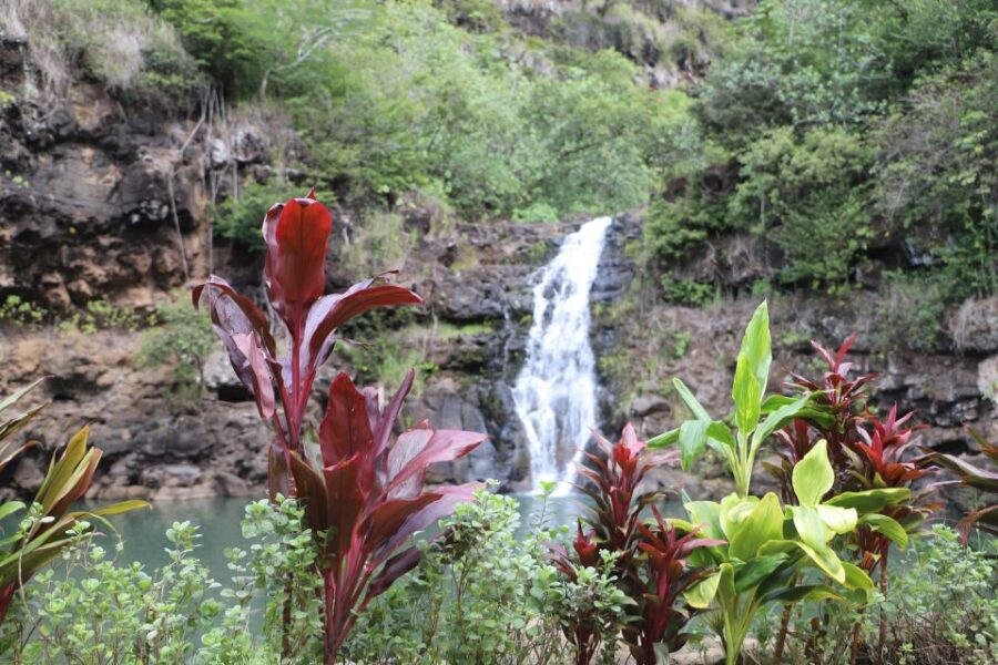 7 Best Lunch Experiences In Honolulu