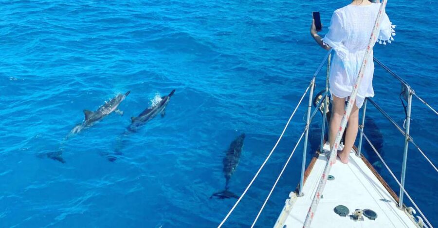 Oahu : Waikiki Sailing Turtle Snorkeling in Small Groups - Activity Overview