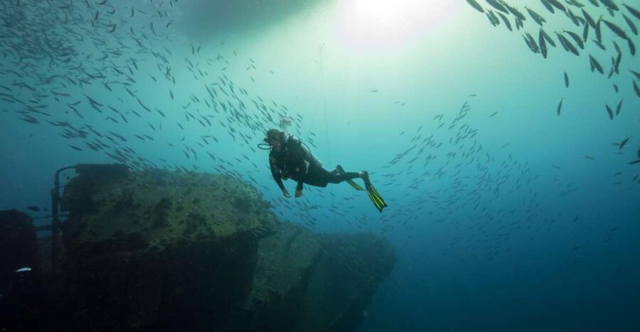Oahu: Wreck & Reef Scuba Dive for Certified Divers