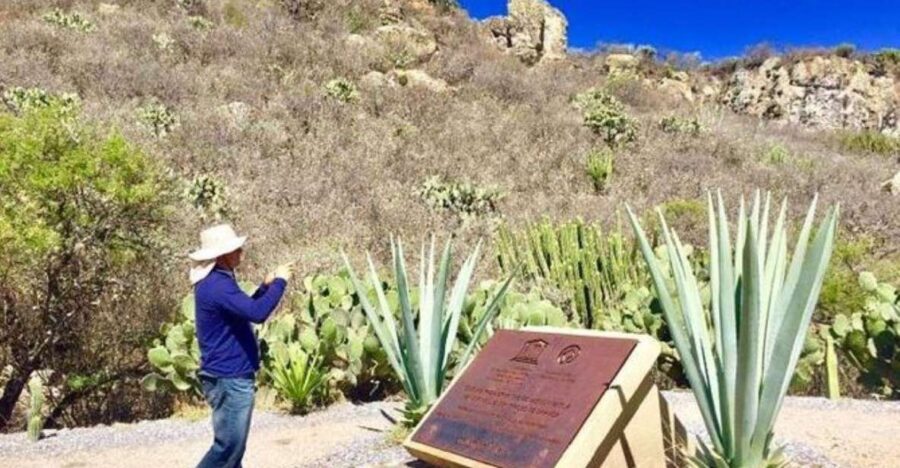 Oaxaca: Exclusive Private Yagul UNESCO Heritage Site Tour - Discovering Yaguls UNESCO Heritage
