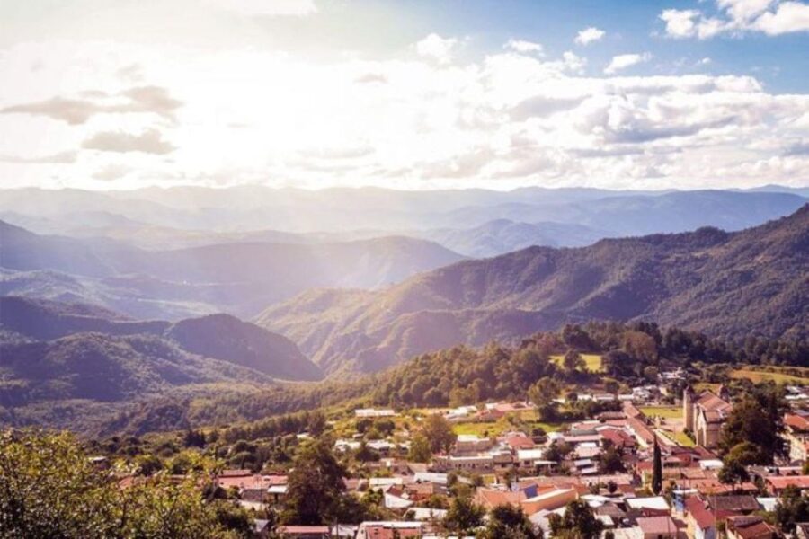 Oaxaca: Forest and Nature Walking Experience - Overview and Pricing