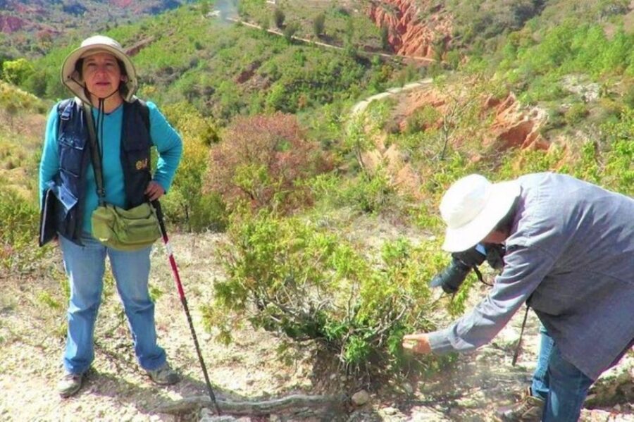 Oaxaca: Geoparque Exploration Tour