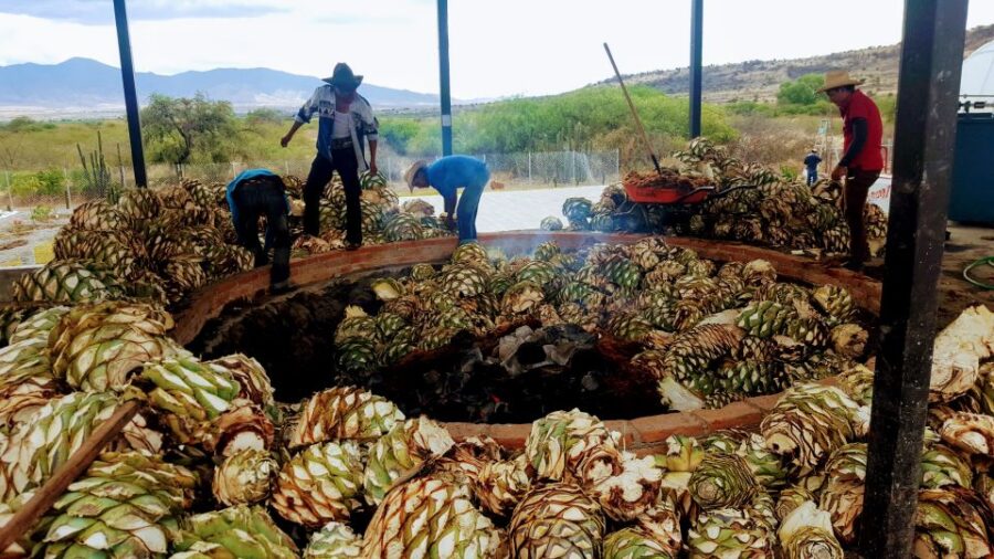 Oaxaca: Mezcal Adventure