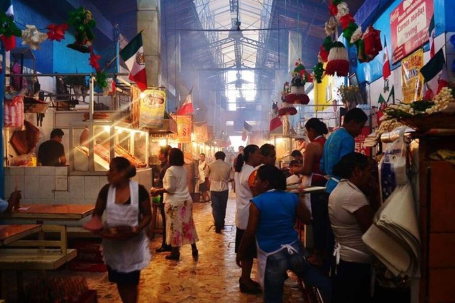 Oaxaca: Monte Alban & City of Oaxaca Private Tour - Tour Overview