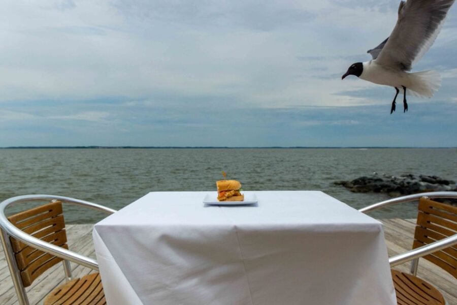 Ocean City: Bay Hopping Food Boat Tour With Tastings