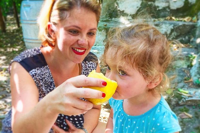 Oil, Cheese And Lemon Tour