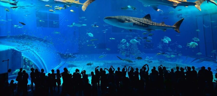 Okinawa Full-Day Tour With Daily Chauffeur