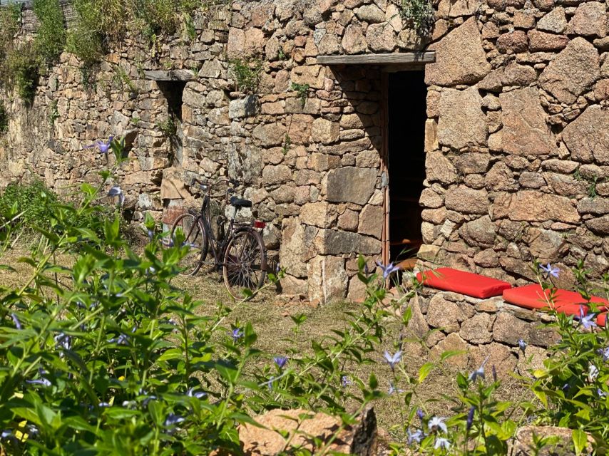 Olbia: Sardinian Pasta Workshop, Wine Tasting, & Local Meal