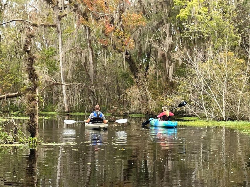 5 Best Canoe And Kayak Experiences In St Augustine Florida