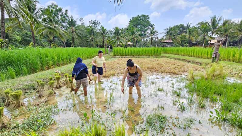Old Phuket Farm Ticket - Countryside Local Life Culture - Ticket Details