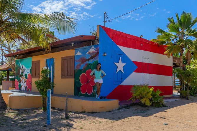 Old San Juan – Loiza African Town Full-Day Tour: 8+ People Group