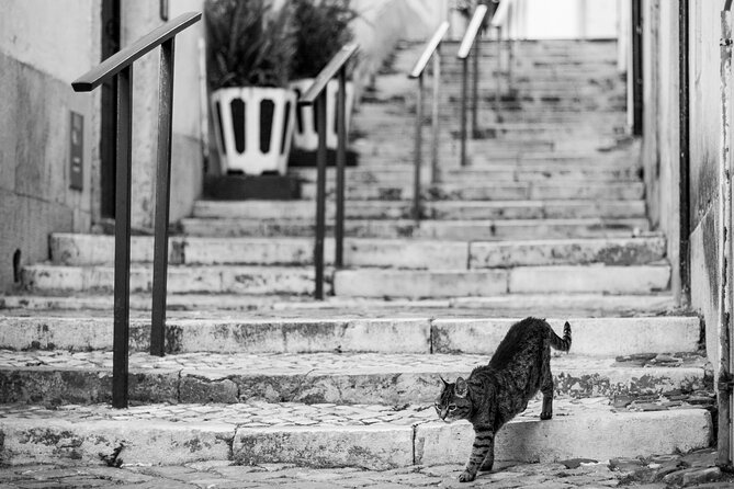 Old Town Lisbon Photography Tour