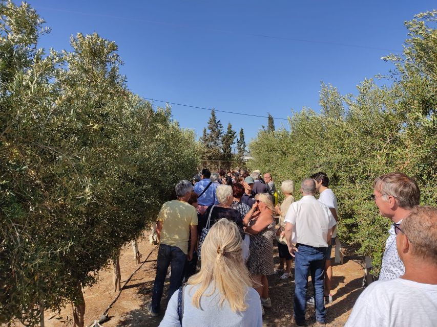 Oleoalmanzora: Guided Tour Olive Groves and EVOO Facilities