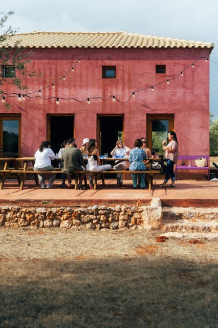 Olive Oil Tasting: Secrets From Ancient Olive Groves - Experience an Organic Olive Grove