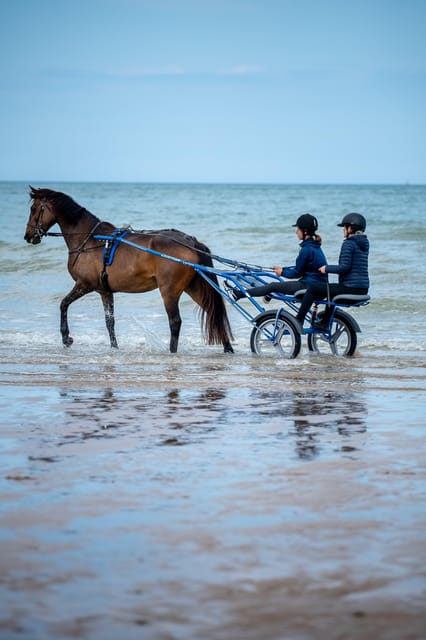 Omaha Beach: Sulky Baptism on the Beach - Activity Overview and Duration