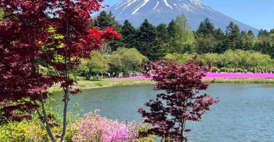 One Day Mt Fuji Private Tour With English Speaking Driver - Tour Itinerary and Highlights