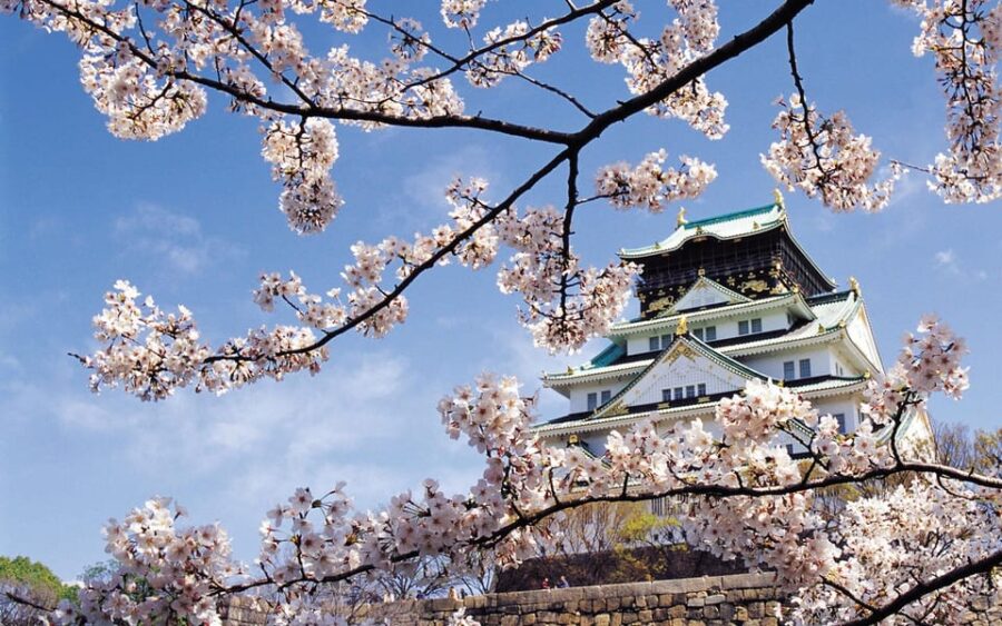 One Day Private Customized Self-Guided Tour in Osaka - Tour Details